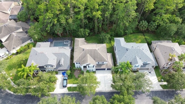 Building Photo - Beautifully Renovated Home in Tampa Palms ...