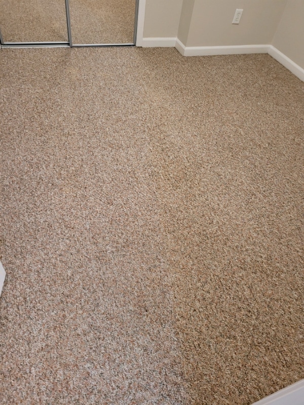 Building Photo - 351 Chicago Rd