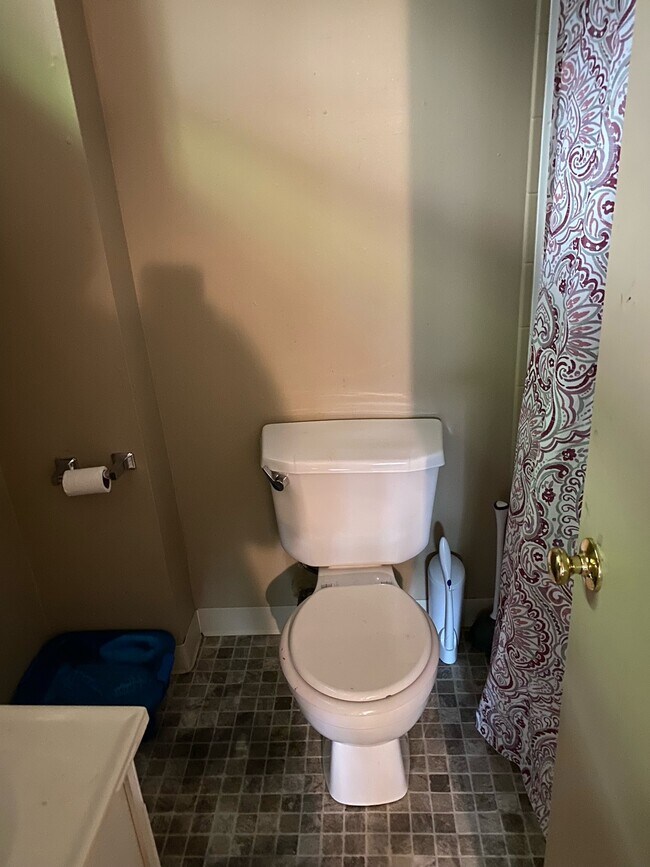 Bathroom - 391 Protzman St