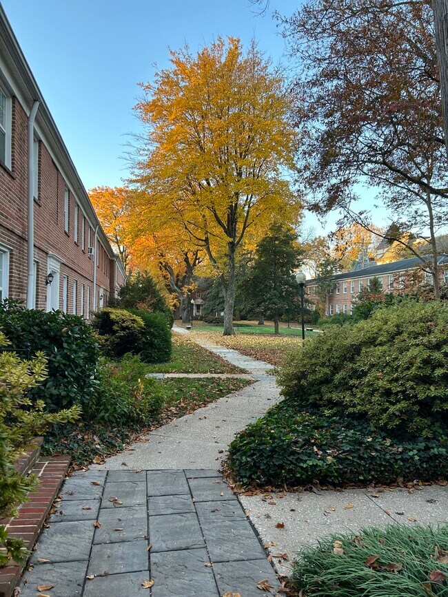 Foto del edificio - Park Lynn Apartments