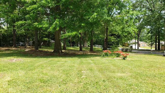 Photo - COMING SOON!!! Perfect Little Ranch with Charm and Character House