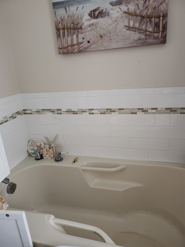 Large Bathroom soaking tub - 854 Whitebirch Ln