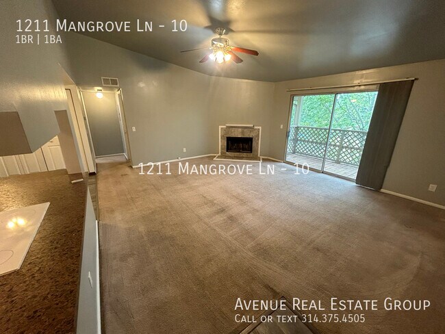 Building Photo - 1211 Mangrove Ln