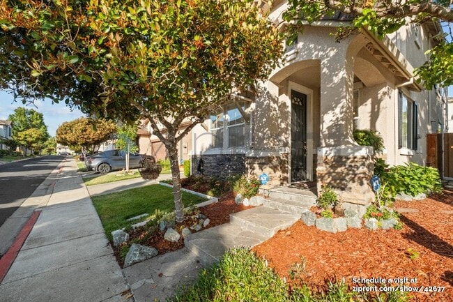 Building Photo - 554 Blue Cypress Way
