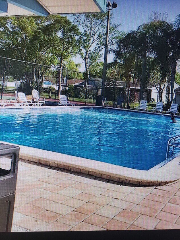 128 Camphor Cir Unit B, Oldsmar, FL 34677 Apartments in Oldsmar, FL