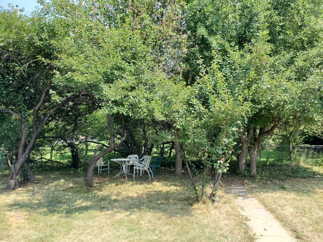 Spacious backyard - 840 30th St