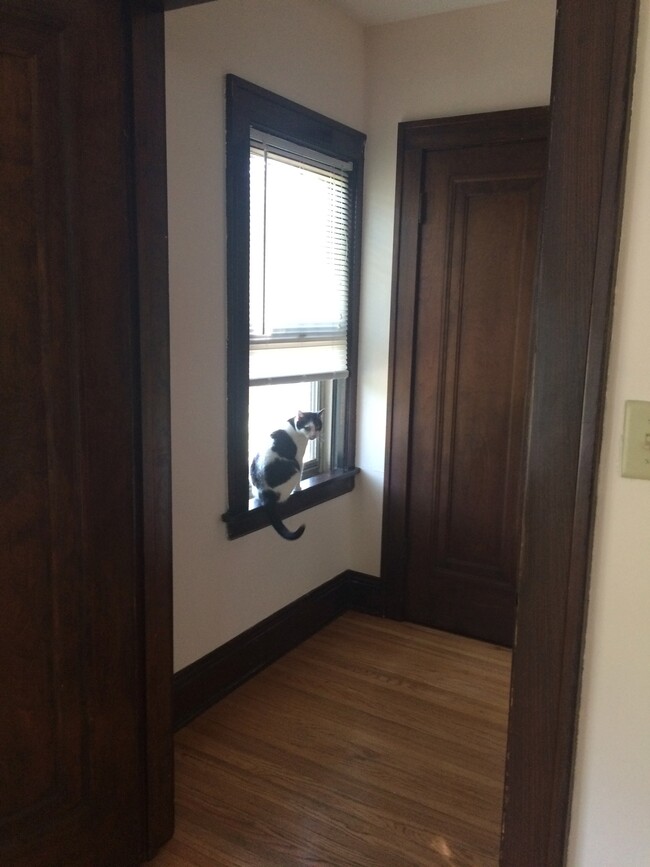 Cats welcome - 2344 Como Ave