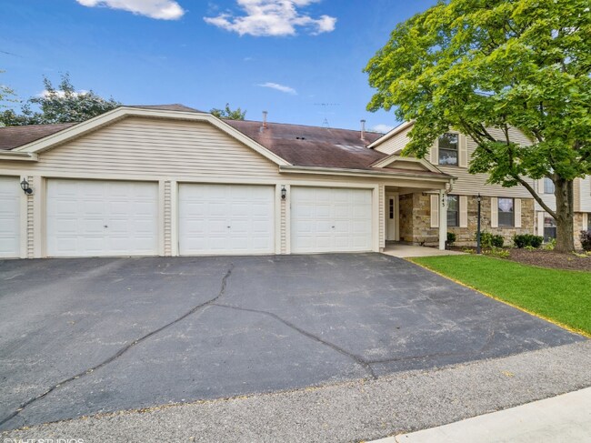 Building Photo - 743 Sterling Ct