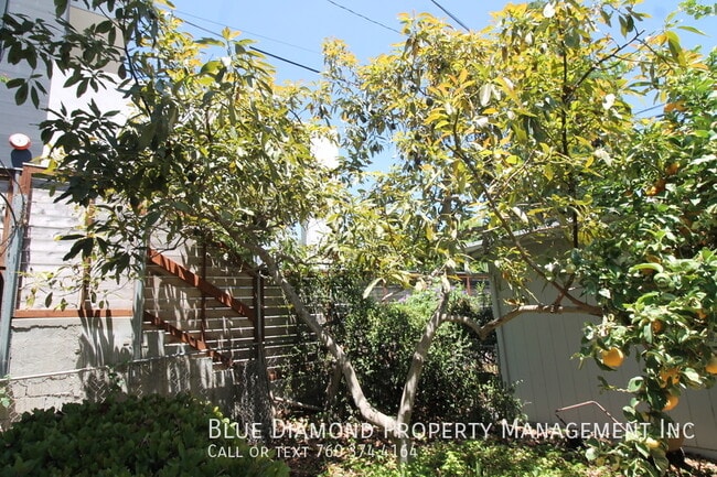Building Photo - 2369 Oxford-