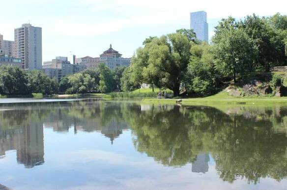 Foto del edificio - 134 W 113th St