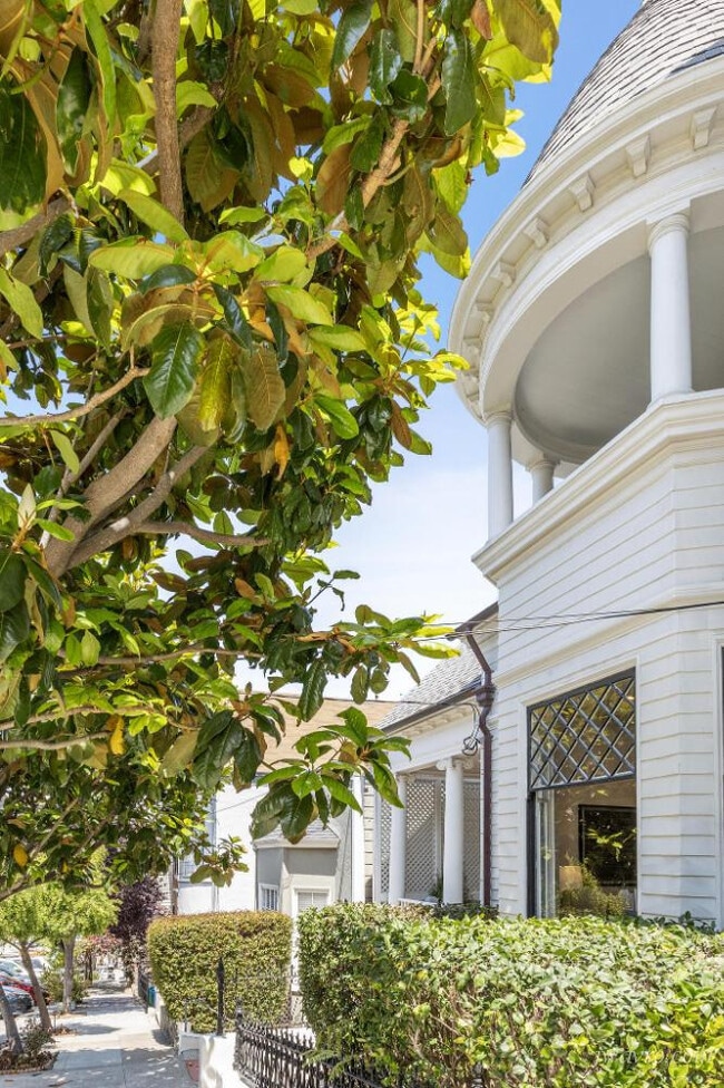 Building Photo - 251 Collingwood St