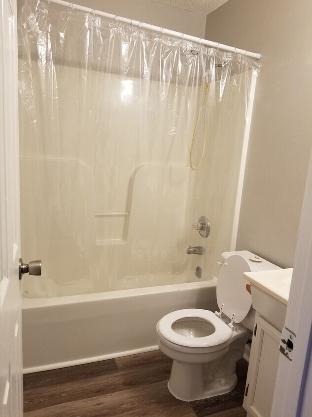 Foto principal - Newly remodeled 1 bed 1 bath