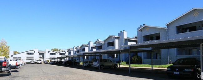 Building Photo - Raintree Apartments