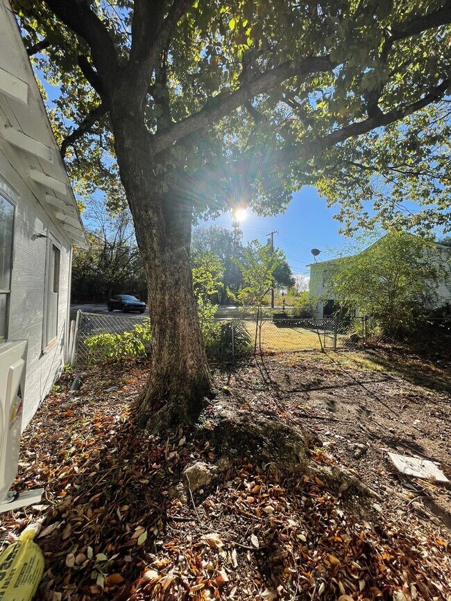 Foto del edificio - 1 Bed/1 Bath w/yard Close to Downtown