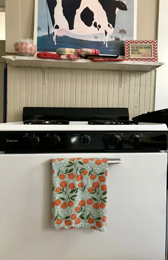 Foto principal - 363 Windsor St