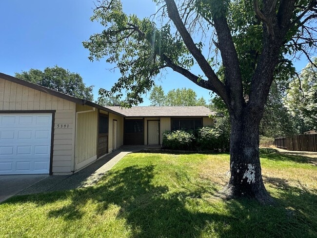 Building Photo - Well maintained home on 1.14 acres - Landscaping included!