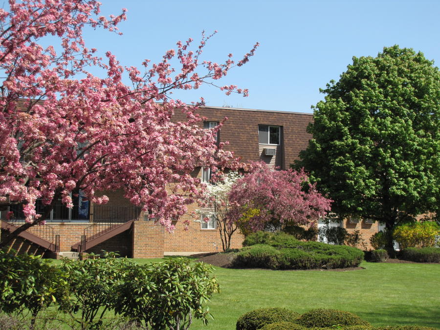 Kent Village Apartments Apartments Kent, OH