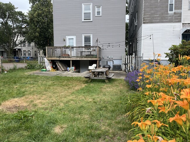 Backyard view to building - 17 Hardwick St