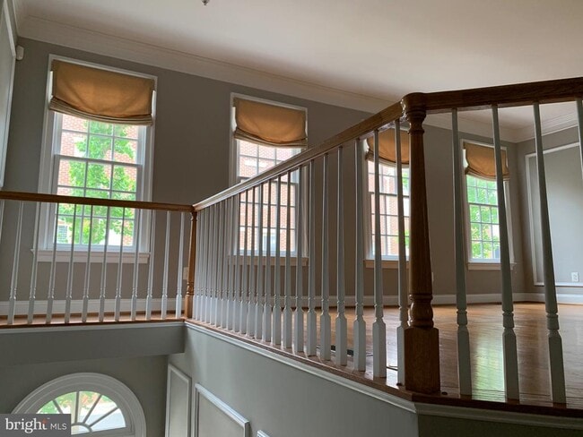 Building Photo - 22 Alexander St