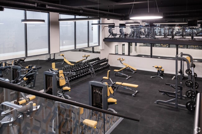 Gym - 26 Lane Ave