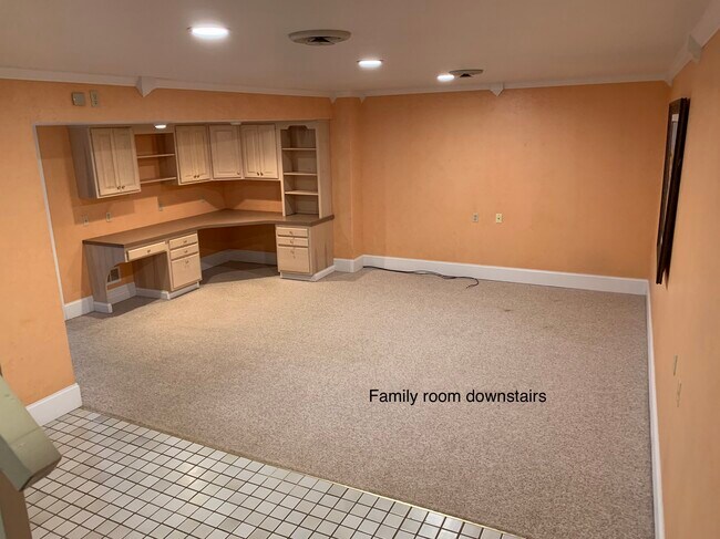 Family room/office downstairs - 109 Danea Ln