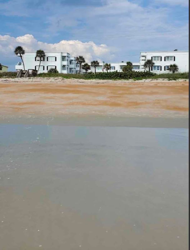 Building Photo - 1926 Ocean Shore Dr