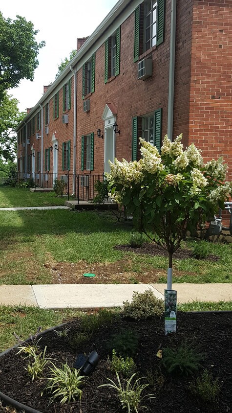 Exterior - 320 E 57th St