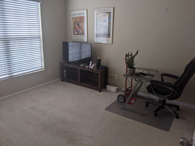 Downstairs bedroom (furniture will be removed) - 5636 Whitehawk Hill Rd