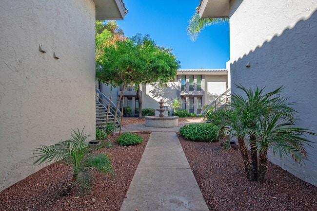 Building Photo - 5219 N 24th St #203 Phoenix, AZ 85016