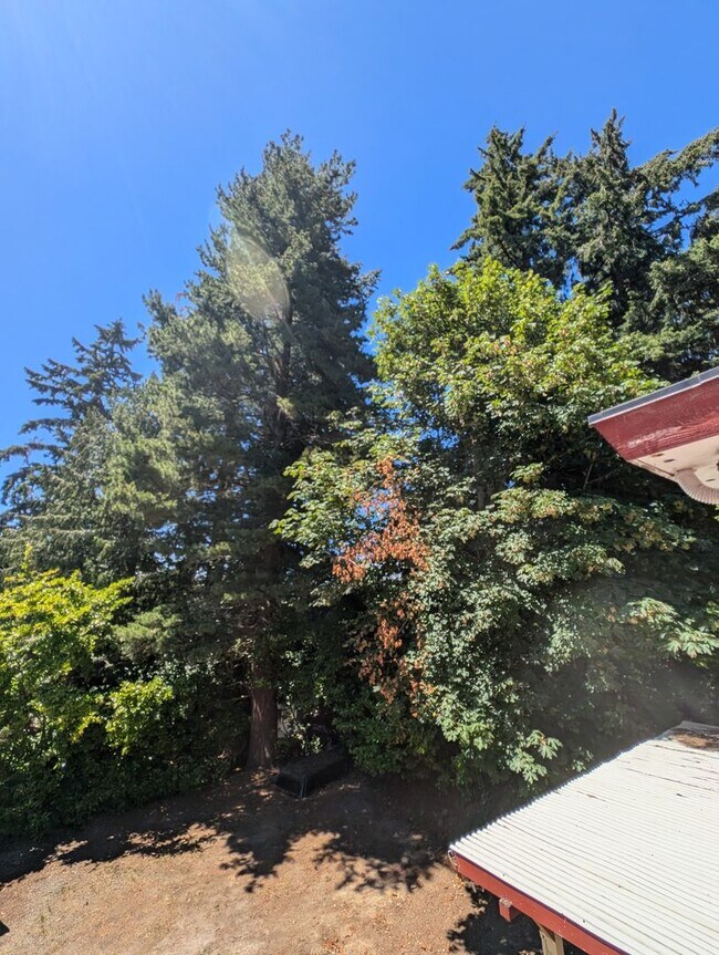 Photo - A Quarky Bremerton Original! Tons of Space... House