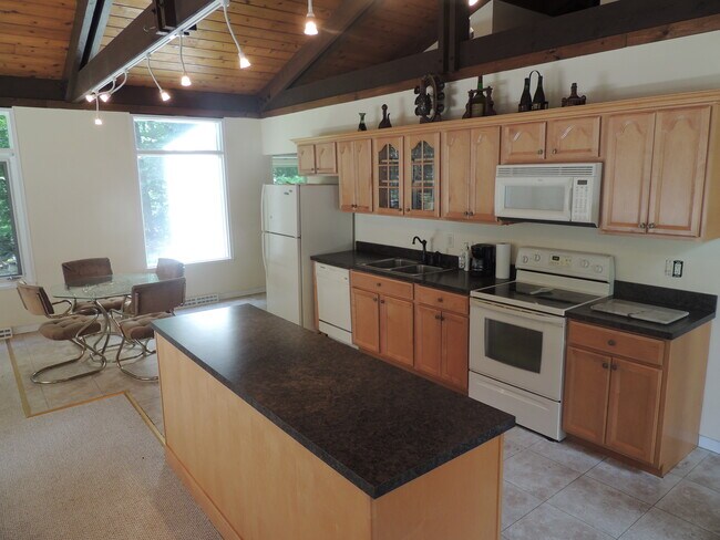 Great room with Kitchen - 102 Blackwood Ln