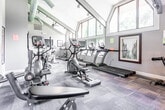 Located at 9 Lincoln Place in North Brunswick, NJ, this fitness center is housed in a single-story space distinguished by soaring vaulted ceilings with exposed beam detailing, creating an open and airy atmosphere throughout. Large angled windows line the upper walls, allowing abundant natural light to fill the interior while offering views of surrounding greenery, enhancing the overall sense of space. Ceiling fans assist in maintaining comfortable airflow across the workout floor.

The facility is divided into functional zones across a generously sized open floor plan finished with durable, neutral-toned carpet tiles. The cardio area features treadmills, stationary bikes, and elliptical machines, conveniently positioned near windows and a wall-mounted television. Strength training is well supported with a multi-function cable and weight machine, adjustable benches, and a barbell setup.

A dedicated free weights and functional training area includes a tiered dumbbell rack, medicine balls, stability balls, resistance bands, and additional accessories. Full-length mirrors along one wall visually expand the space and support proper form during exercise. Glass-paned doors connect to adjacent areas, contributing to the bright, welcoming character of this well-appointed fitness facility.