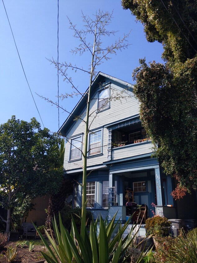 Front of House - 730 56th St