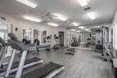 This fitness center is a thoughtfully designed, single-floor facility built to support a comprehensive workout experience. The space features light-toned hardwood-style flooring throughout, neutral walls, and flush-mounted fluorescent lighting complemented by multiple ceiling fans that maintain airflow and comfort during exercise sessions.

The cardio zone is well-appointed with multiple treadmills from Life Fitness and other brands, a selection of upright and recumbent stationary bikes, and elliptical cross-trainers, providing a variety of low- and high-impact options for users. Wall-mounted flat-screen televisions are positioned for easy viewing from both the cardio and stretching areas.

The strength training section includes a multi-function cable machine suitable for a wide range of resistance exercises, an adjustable weight bench, and a full dumbbell rack stocked with a graduated set of free weights. Floor-to-ceiling mirrors line one wall, enhancing the sense of space and allowing users to monitor their form.

Large, multi-pane windows along the exterior walls flood the room with natural light and offer views of surrounding greenery. A glass-panel door connects the fitness center to an adjacent lounge or common area, while a separate exterior door provides direct outdoor access. The overall ambiance is clean, open, and functional — designed to motivate and accommodate a broad range of fitness activities.