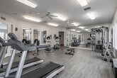 This fitness center is a thoughtfully designed, single-floor facility built to support a comprehensive workout experience. The space features light-toned hardwood-style flooring throughout, neutral walls, and flush-mounted fluorescent lighting complemented by multiple ceiling fans that maintain airflow and comfort during exercise sessions.

The cardio zone is well-appointed with multiple treadmills from Life Fitness and other brands, a selection of upright and recumbent stationary bikes, and elliptical cross-trainers, providing a variety of low- and high-impact options for users. Wall-mounted flat-screen televisions are positioned for easy viewing from both the cardio and stretching areas.

The strength training section includes a multi-function cable machine suitable for a wide range of resistance exercises, an adjustable weight bench, and a full dumbbell rack stocked with a graduated set of free weights. Floor-to-ceiling mirrors line one wall, enhancing the sense of space and allowing users to monitor their form.

Large, multi-pane windows along the exterior walls flood the room with natural light and offer views of surrounding greenery. A glass-panel door connects the fitness center to an adjacent lounge or common area, while a separate exterior door provides direct outdoor access. The overall ambiance is clean, open, and functional — designed to motivate and accommodate a broad range of fitness activities.