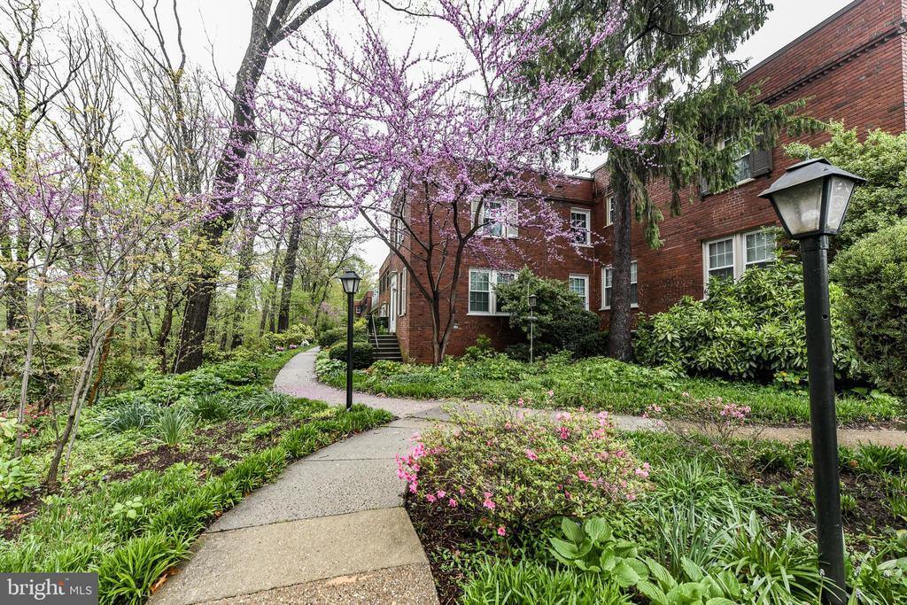Foto principal - 1501 S Edgewood St