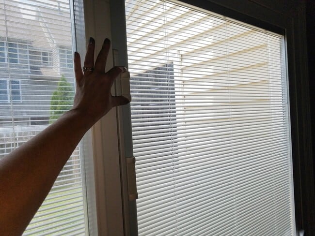 Foto del edificio - 31 Sally Ann Pl