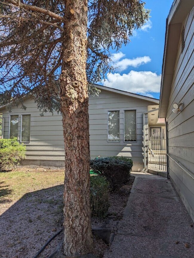 Foto del edificio - Incredible 3 Bedroom Home in McSorley Neighborhood