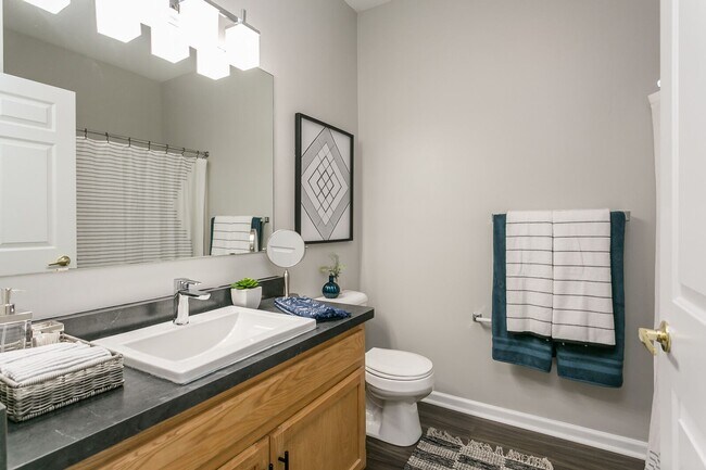 Interior Photo - Bradford Hill Apartments & Townhomes