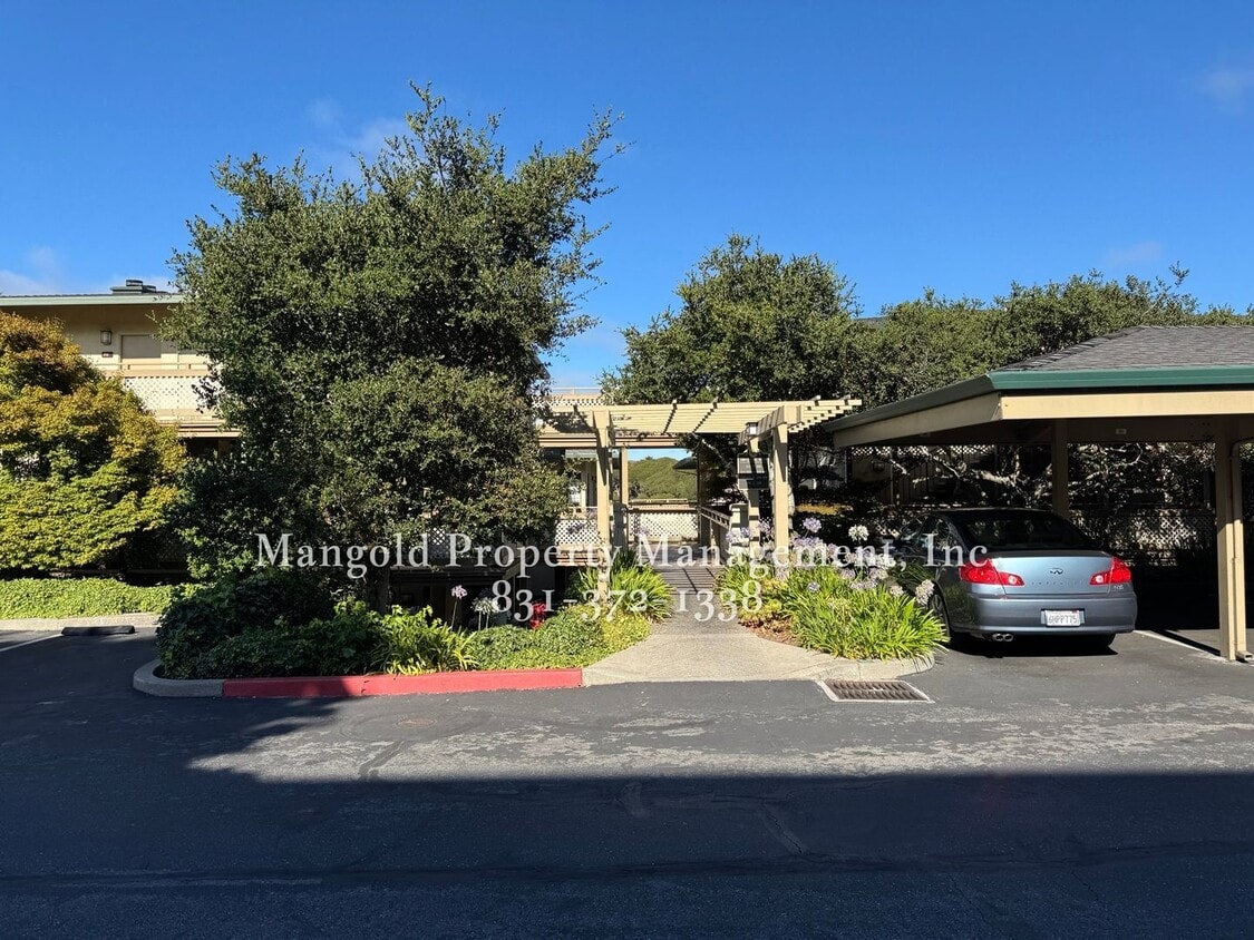Primary Photo - Spacious 2-Bed, 2-Bath Condo with Fireplac...