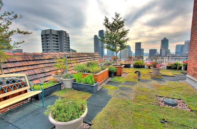 Rooftop deck - 1017 Minor Ave