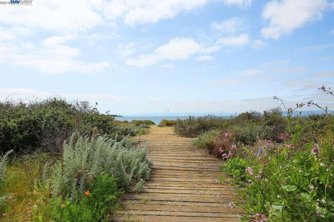 Alameda Beach - 2101 Shoreline Dr