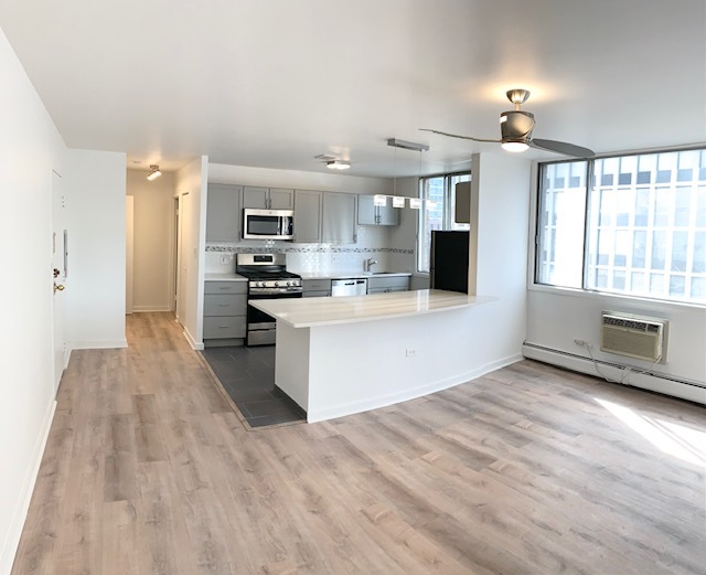 18 unit studio - 2424 N Clark