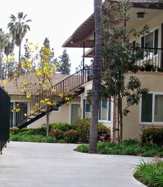 Foto del edificio - Palm Garden Apartments