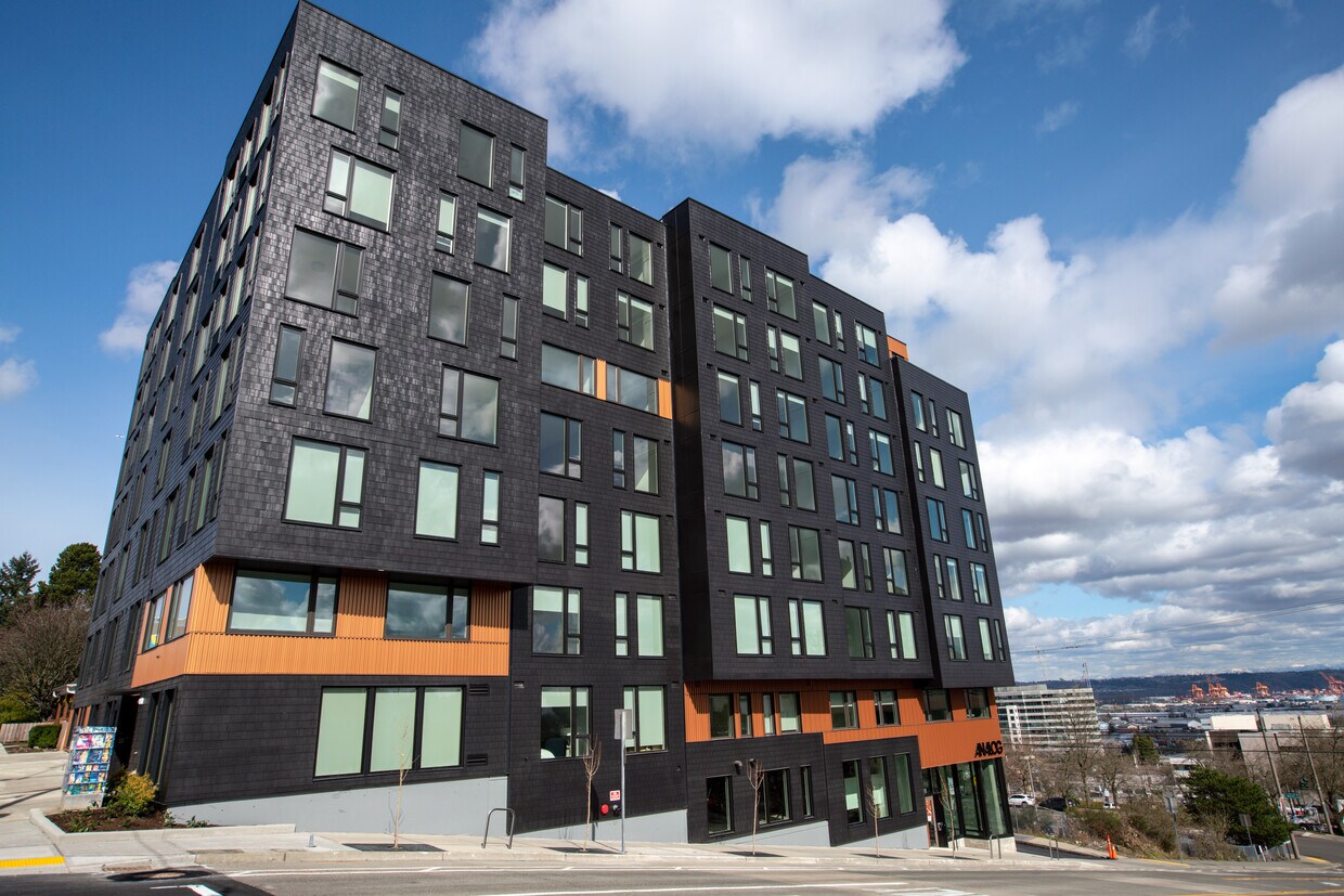 Analog Apartments in WA