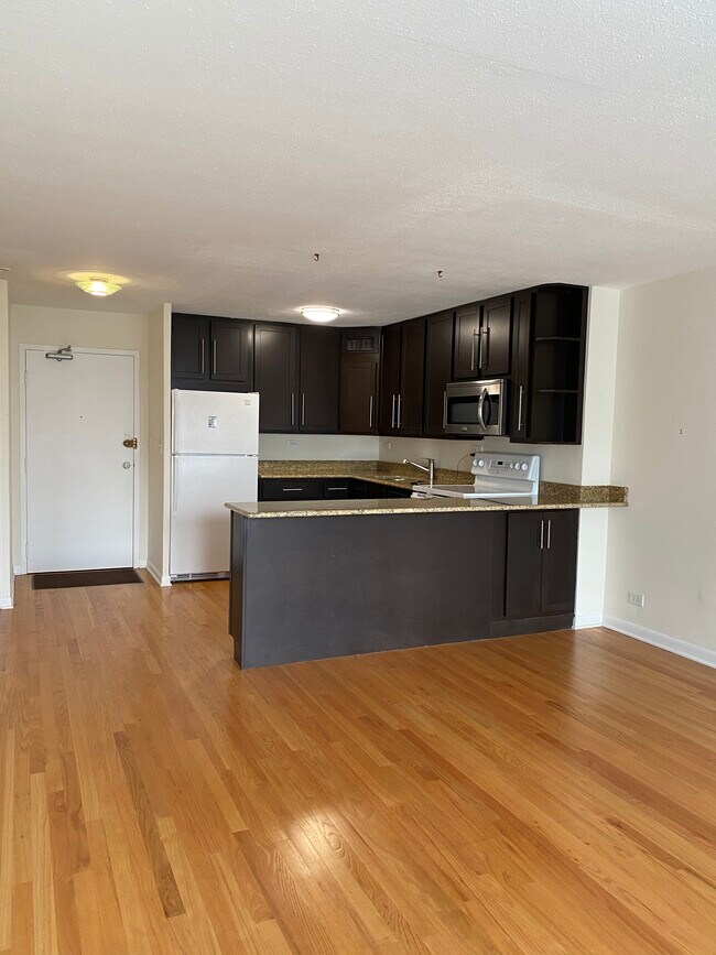 View of Entry - 3100 N Lake Shore Dr