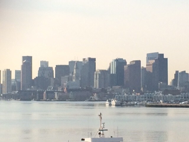 View from Roof Deck - 33 Medford St