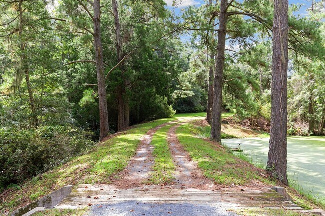 Foto del edificio - Historic Plantation Property on the Ashley River