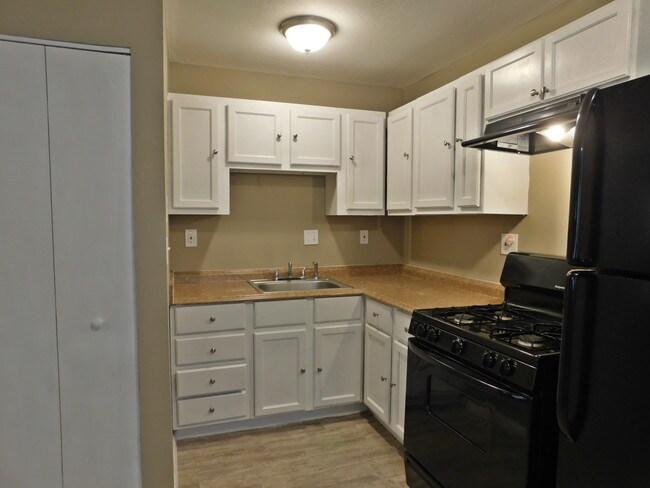 Building Photo - 510 Saratoga Ln