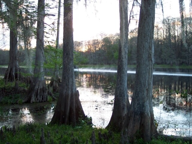 Vista al río - 8271 W C 48